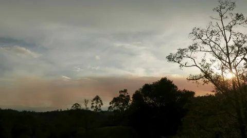 The thick smoke of a forest fire orange colored by the light of the sunset Stock Footage 346791848