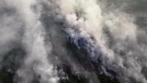 Thick smoke rises over burning forest terrain Video stock 333033309