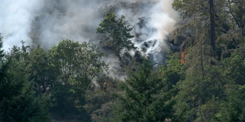 Thick smoke rising above charred hillside, firefighter moving upslope toward Stock Footage 59112154