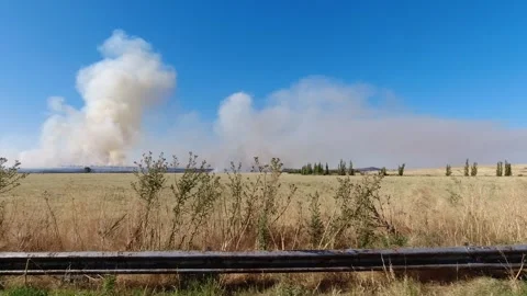 Thick smoke rising from a spreading wildfire in a dry rural field during a .. Stock Footage 325913761