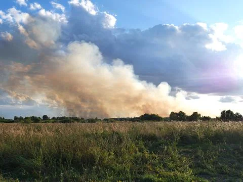 Thick smoke from a summer fire rises into the blue sky. Summer landscape Stock-Fotos