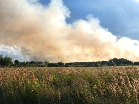 Thick smoke from a summer fire rises into the blue sky. Summer landscape Stock Photos