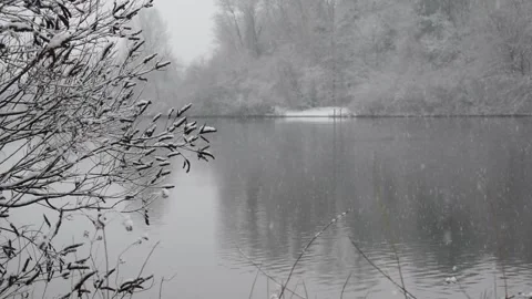 Thick snow falls on the river, coastal bushes and forest. Stock Footage 326243048