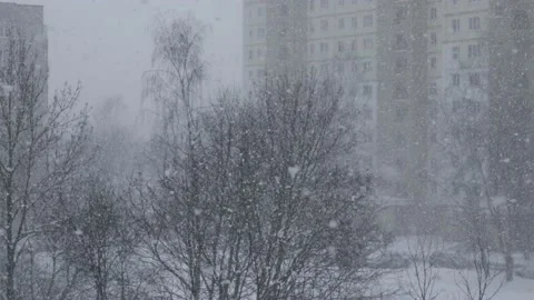 Thick snow falls in the yard against the background of trees Stock Footage 146703758