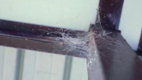 Thick spider web at the angle of metal structure Video stock 288452043