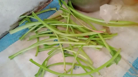 Thick Spinach Stems Lying on a Shelf in the Kitchen Видео 347449410