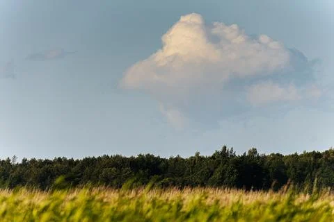 Thick storm clouds stretch across the sky with a visible curtain of rain falling Foto stock