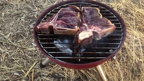 Thick T-bone steaks grilling over charcoal on a rustic outdoor barbecue Stock Footage 341975973