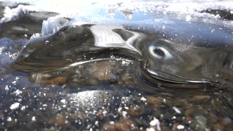 Thick transparent ice layer covering frozen water surface in harsh cold winter Stock Footage 339560410