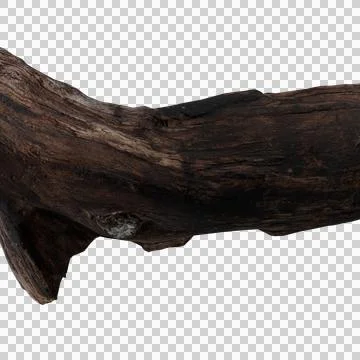 Thick tree branch Stock Photos