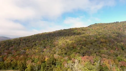 Thick tree cover on mountain drone Video stock 165994803