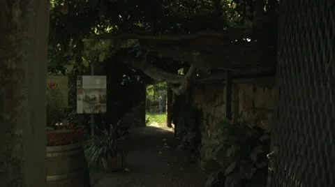 Thick Trees Hanging Over Garden in Carona, Switzerland Stock Footage 11881212