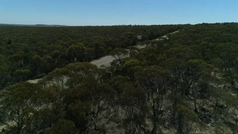 Thick vegetation engulfs a long road in a dry landscape aerial 4k Video stock 304260671