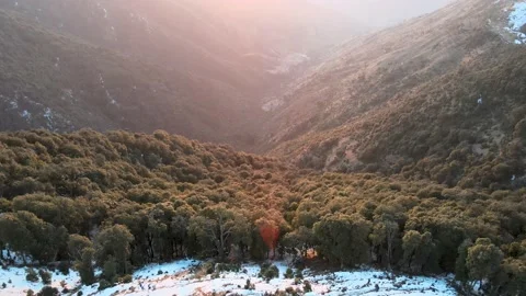 Thick vegetation on snow covered mountain. green trees and valley. sunset Stock Footage 157971709