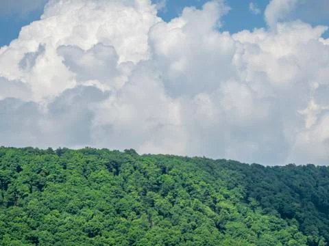 Thick white clouds over the forest Stock Photos