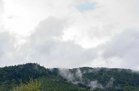 Thick white clouds over mountains covered with green forest. green trees in a Stock Photos