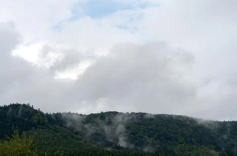 Thick white clouds over mountains covered with green forest. green trees in a Stock Photos