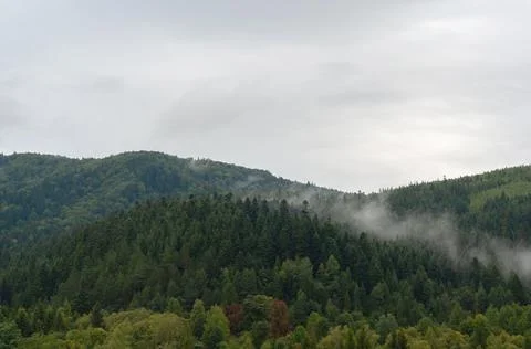 Thick white clouds over mountains covered with green forest. green trees in a Stock Photos