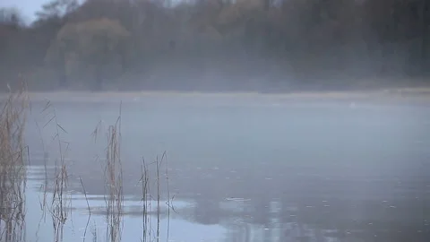 Thick white fog Stock Footage 122104597