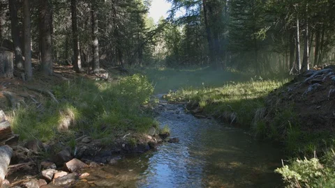 Thick white fog over the river in the forest. 4k Stock Footage 123543907