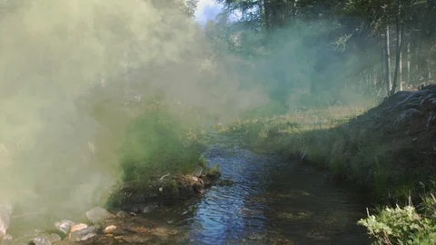 Thick white fog over the river in the forest at dawn. 4k Stock Footage 123544098