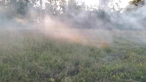 Thick white smoke rising from burning dry grass and agricultural waste in a.. Stock Footage 340457888