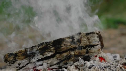 Thick white smoke rising from a burning wooden log outdoors in nature Video stock 341682554