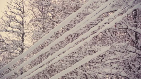 Thick white snow on the electric wires on the post Stock Footage 103889995