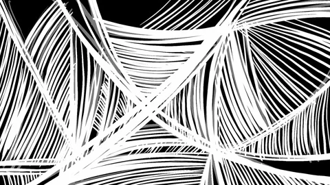 Thick white spider web spreads across a black background. Hand-drawn geometric Stock Footage 339021104