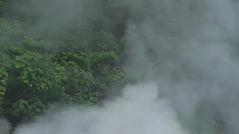 Thick white steam rising and blowing from a natural hot spring pool. 스톡 동영상 337218938