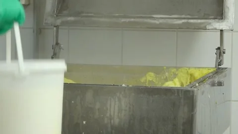 Thick yellow cheese mixture being processed in an industrial cheese factory 库存影片 335170696