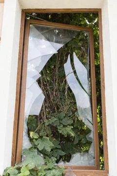 Thickets into an abandoned house. Stock Photos
