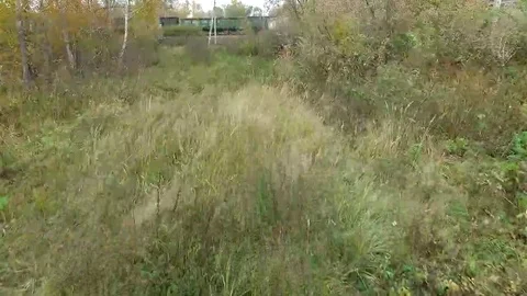 Thickets and cargo train drone shot Stock Footage 69223745