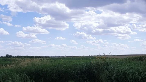 Thickets of reeds and the sky in the clouds. Stock Footage 77680771