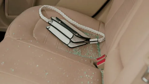 Thief's hands reach through broken side window stealing handbag from car Stock Footage 275740714
