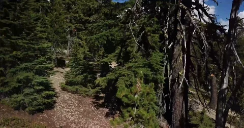 Thielsen 10 Stock Footage 113699598