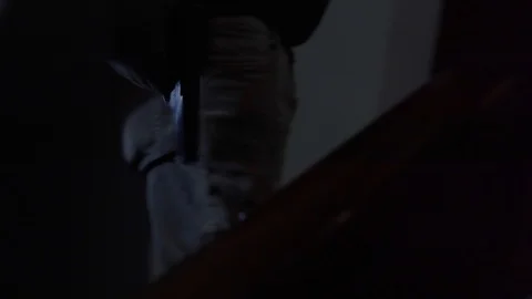 Thieves in a house of a lady . Stock Footage 127331530