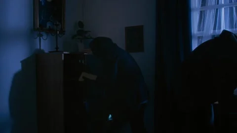 Thieves Rummaging Drawers and Checking Bookcase Vídeos de archivo 314655204