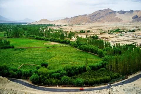 Thiksey Monastery Stock Photos