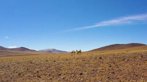 Thin air Stock Footage 243075198