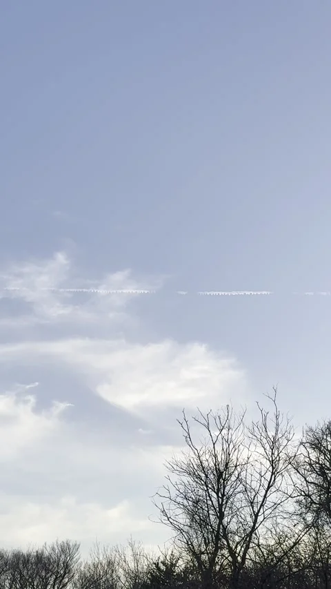 Thin Aircraft Contrail Across Clear Blue Sky Above Trees Видео 344717299