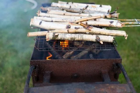 Thin birch twigs are lying on the grill. Thin firewood is lying on the grill Stock Photos