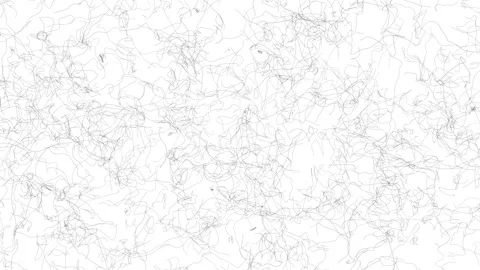 Thin black lines fly on a white background. Stock Footage 122078894