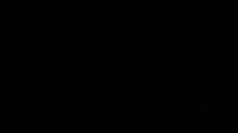 Thin Bokeh Light Leak overlay on black background. Spherical Optical Light Stock-Footage 219018636