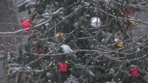 Thin branches against decorated Christmas tree at snowstorm Stock Footage 154110073