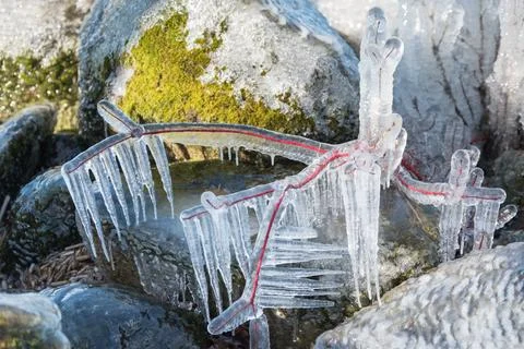 Thin branches covered in clear ice Stock Photos