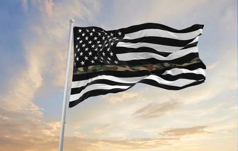 Thin Camo Line flag waving at cloudy sky background on sunset, Military Perso Stock Illustration