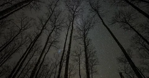 Thin clouds move through the night sky that is filled with stars and the Aurora  Stock Footage 162777120