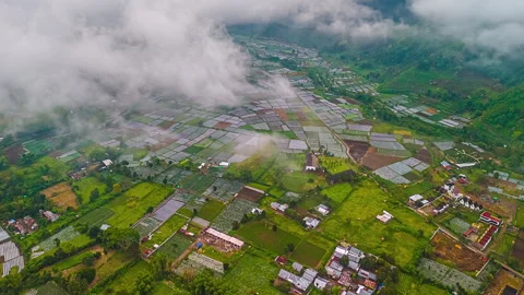 Thin Clouds Over Bukit Selong Rice Fields In North Lombok, Indonesia. Timelapse Stock Footage 307302878