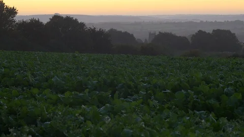 Thin Dawn Light over English Cotswolds Landscape Stock Footage 96174552